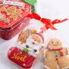 Enchanted Fondant Frosted Cookies 2