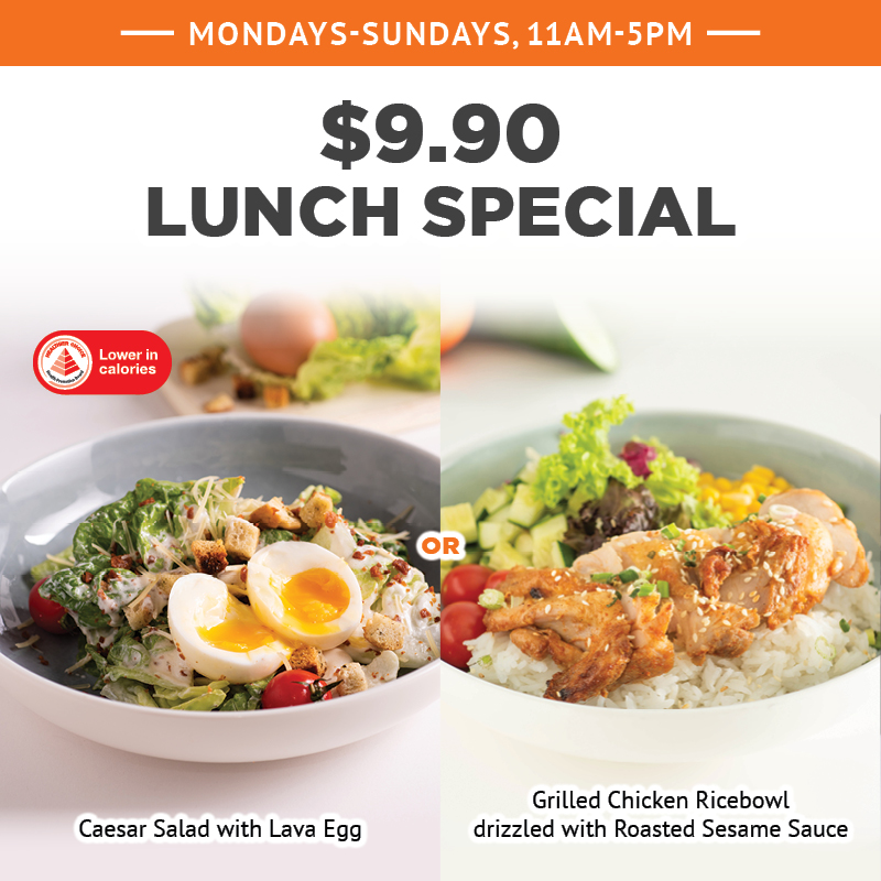 $9.90 Lunch Special